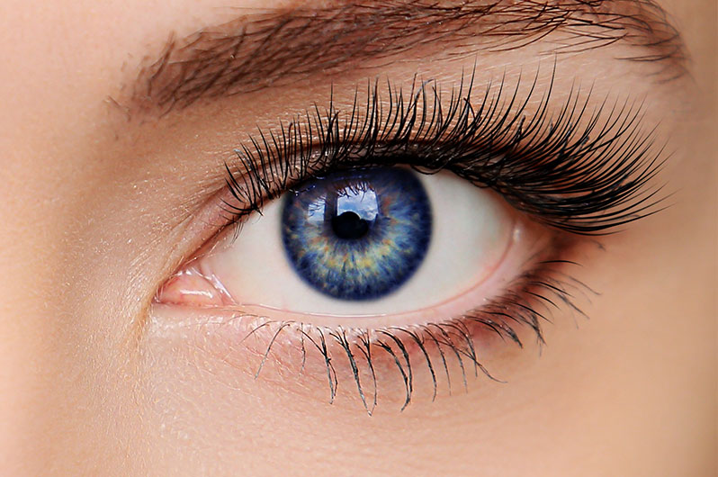 LinkNow Media Eyelash Tinting Services